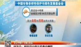 深圳美容院爆料事件最新,行业潜规则与消费者权益受损