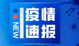 吉林新闻爆料网官网最新,聚焦最新热点，解码吉林发展动态