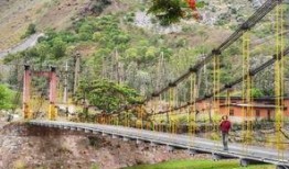 最新爆料绿山路,揭秘神秘项目背后的秘密与未来展望